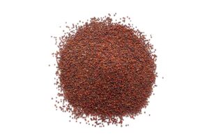 Finger millet